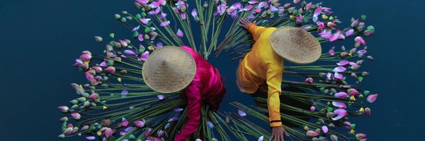 natural77384672 Profile Banner