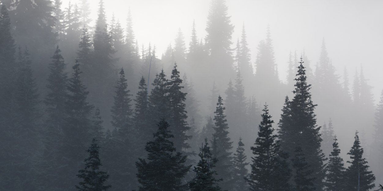 lahrensbrown's profile banner image