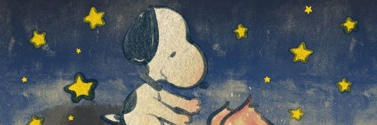 salsa banner