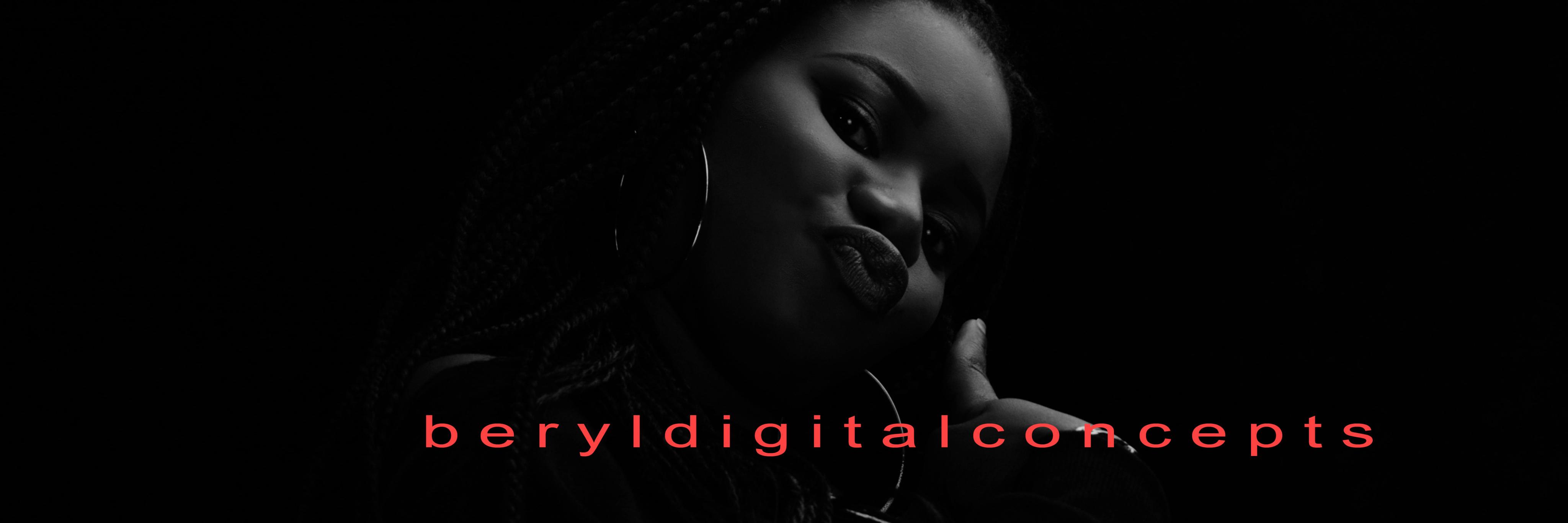 berylconcepts's profile banner image