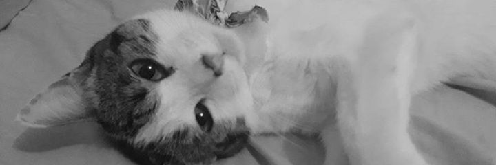 maariacp8's profile banner image