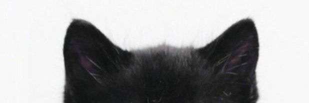 zzɥ banner