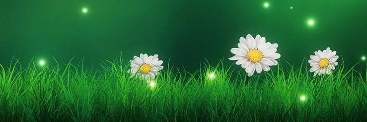 Türk köşesi banner