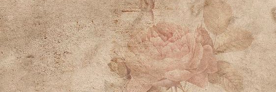 𝓗 banner