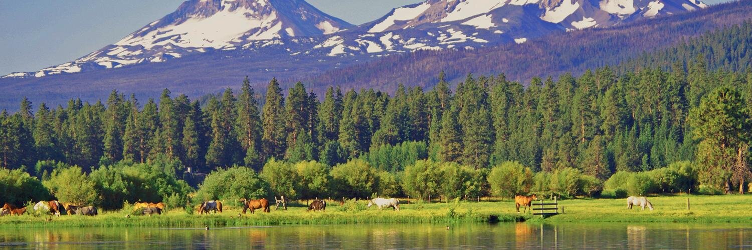 mataylor67's profile banner image