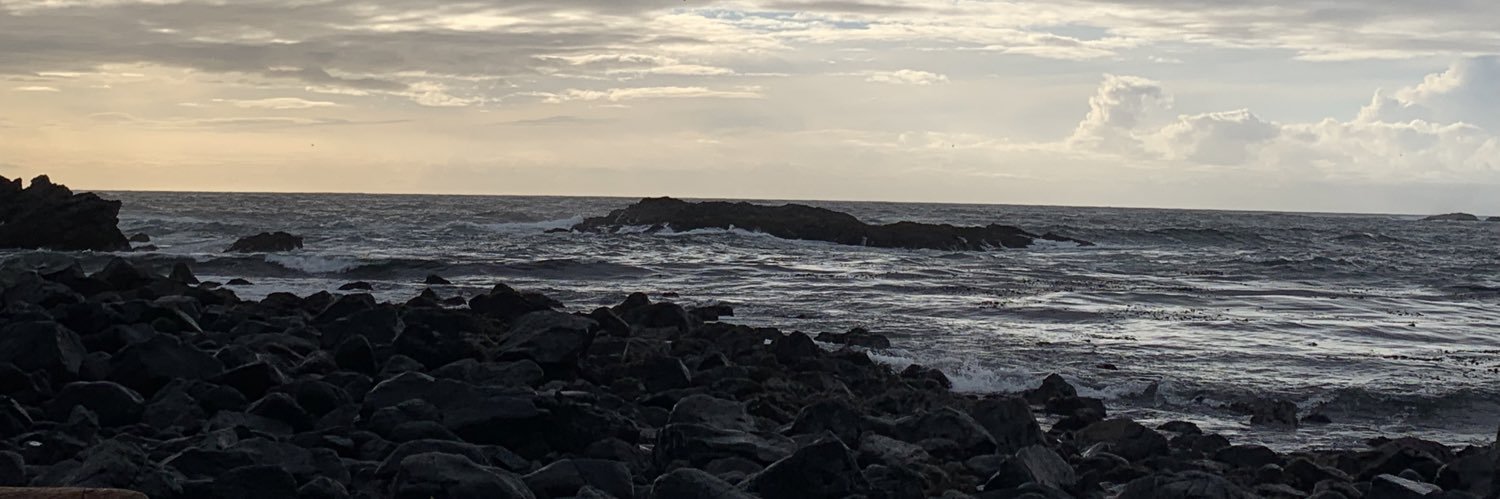 Valérie Vézina banner