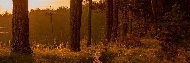 peyton ☀️ banner