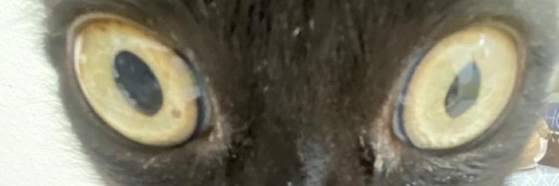 Nicky ✨ banner