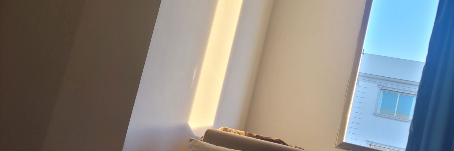 dAmMie______'s profile banner image