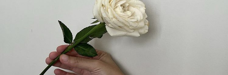 riyetamp's profile banner image