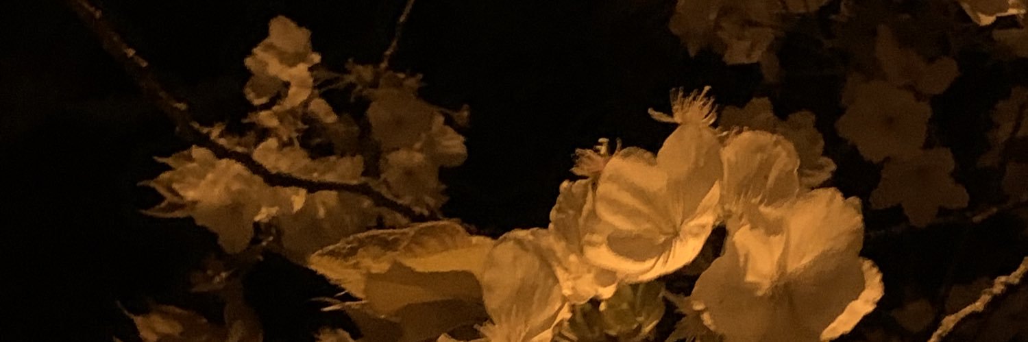 Izzy 🍂 banner