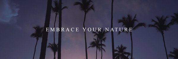 ParadisusPlaya Profile Banner