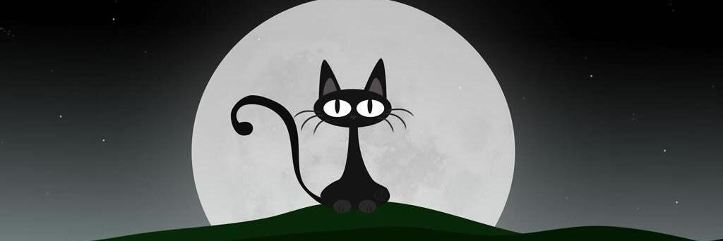 sedabaydas's profile banner image