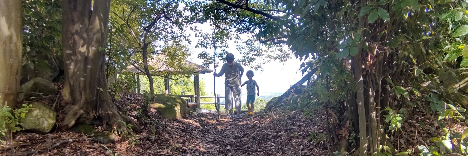 はぐれ塾講師ヒナタ🐬🪼 banner