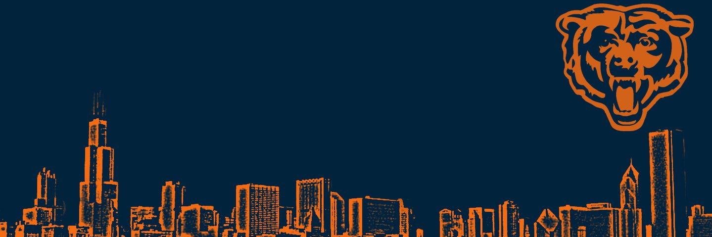 Just Another Chicago Sports Fan banner