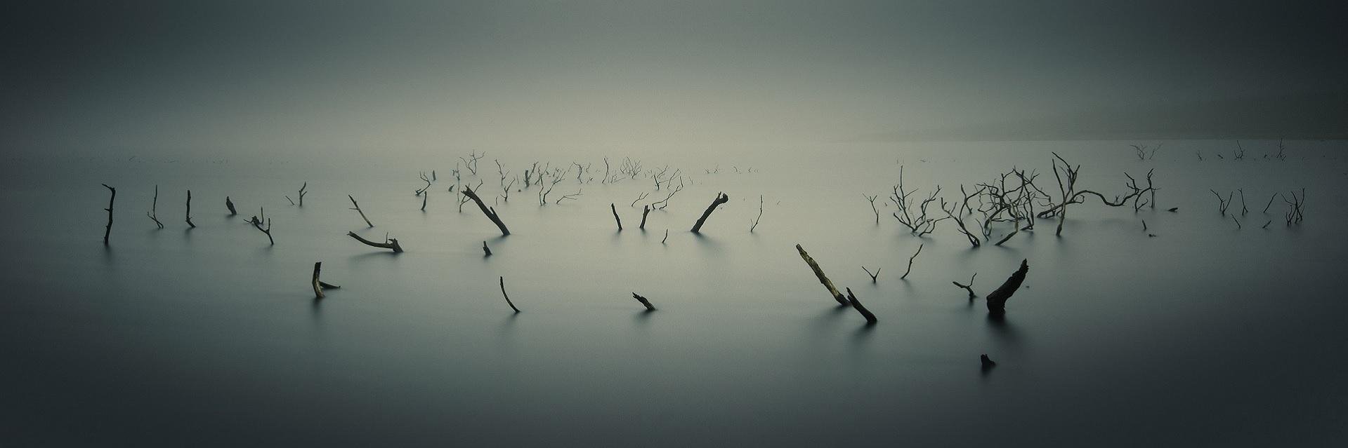 Schackrat's profile banner image
