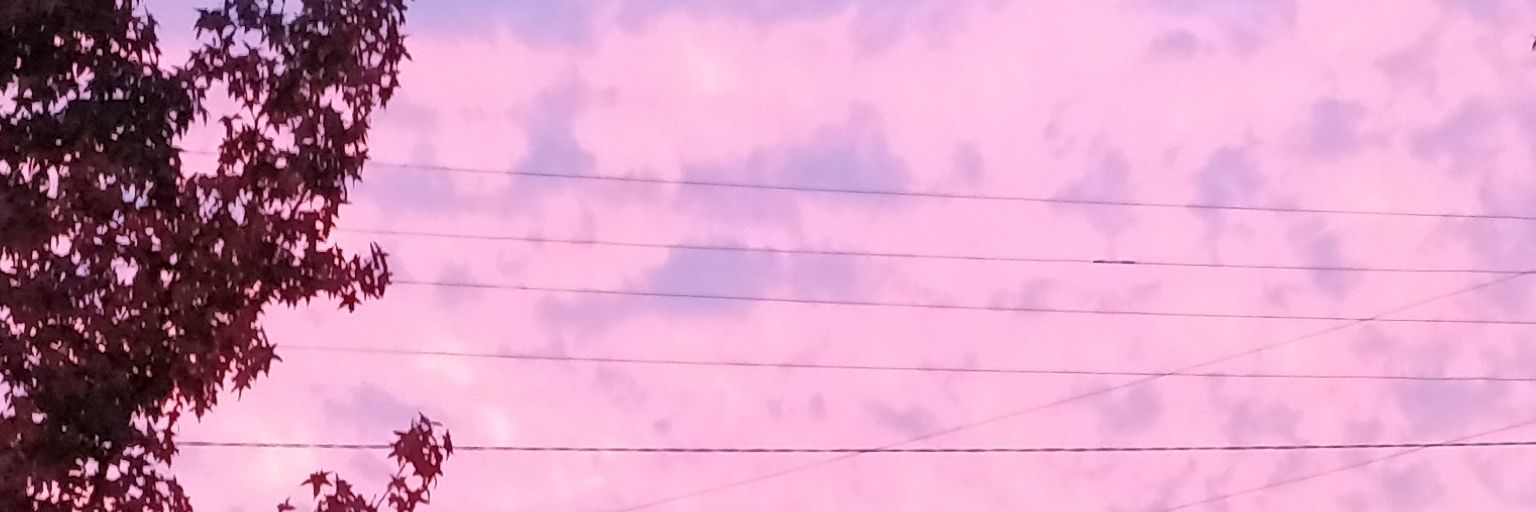 ElArakli's profile banner image