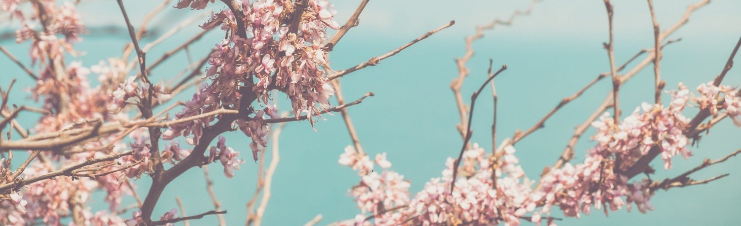 angelaramallo's profile banner image
