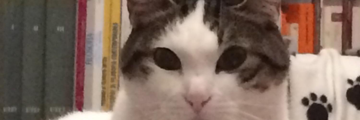 migottar's profile banner image