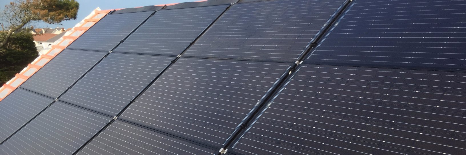 Little Green CI banner