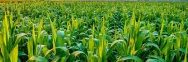 abdoulayebarry0's profile banner image