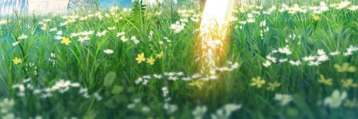 DasDovar's profile banner image
