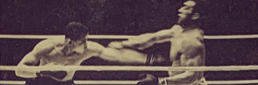 The Fighting Life Podcast's banner
