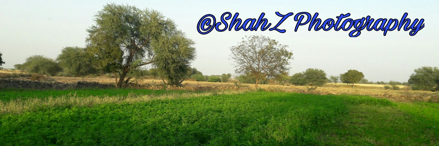 Er_ShahZ's profile banner image