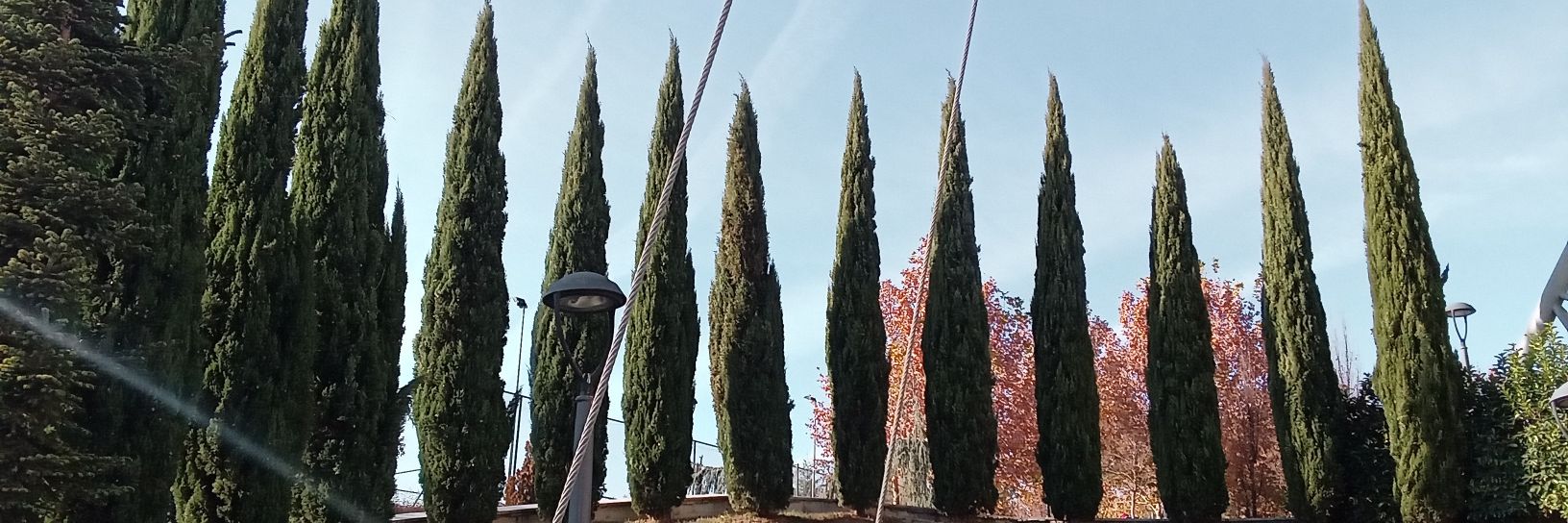 SamiTerzi's profile banner image