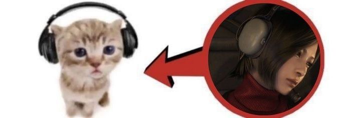 Koi's banner