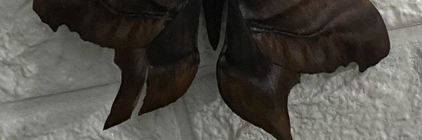 A_MariaDoZe Profile Banner