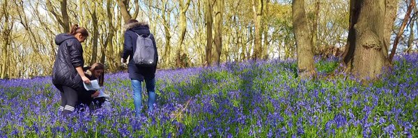 lborogeog Profile Banner
