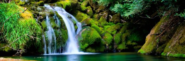 kimsview Profile Banner