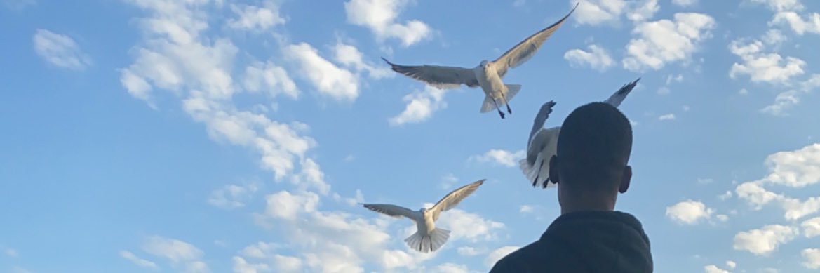 scovo26's profile banner image