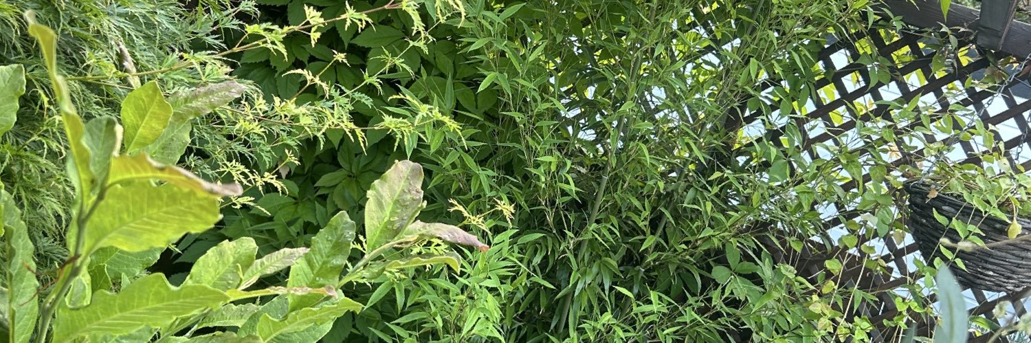 NathanTurn66774's profile banner image