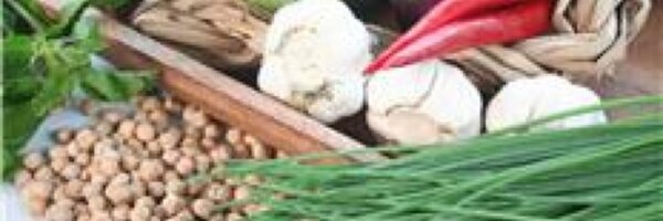 KragtwijkC Profile Banner