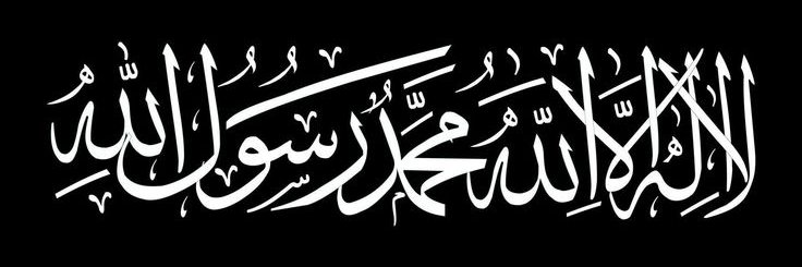 Babarian Forever 56 banner