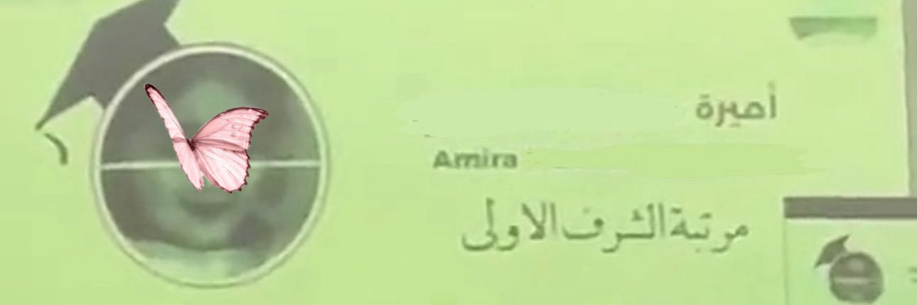 AMIRA AL-SHEHRI ☢️ banner