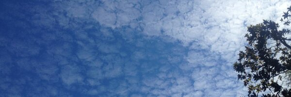 steveflagg Profile Banner