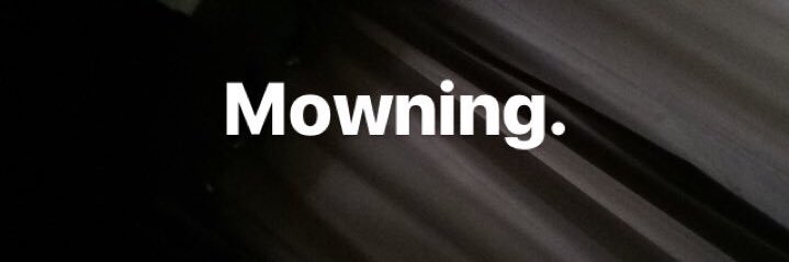 Pingka Mamesa banner