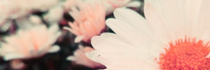 enixling's profile banner image