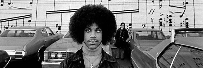 Meredith Modzelewski banner