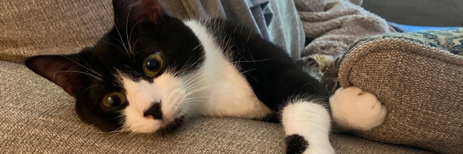 Colleen Kearney Rich banner