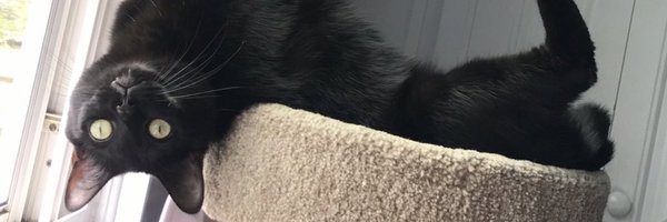 mercybell Profile Banner