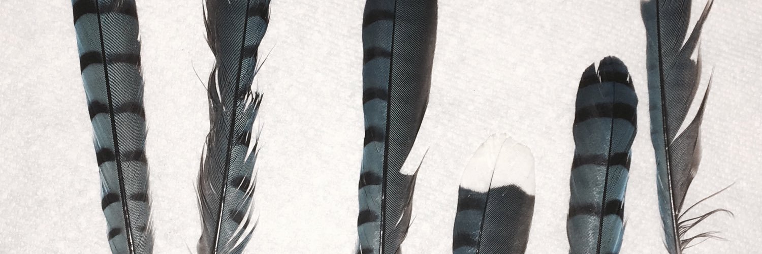 mohawkbomb's profile banner image