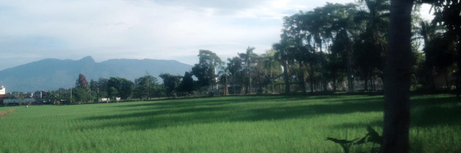 indrialarasati's profile banner image