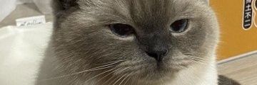 ivanalin19's profile banner image