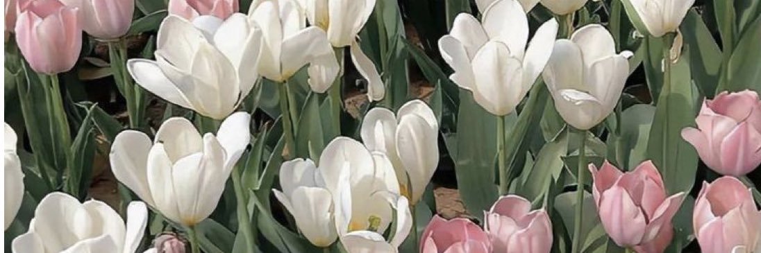 د السبيعي banner