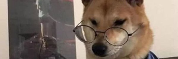 u_nlin2019 Profile Banner