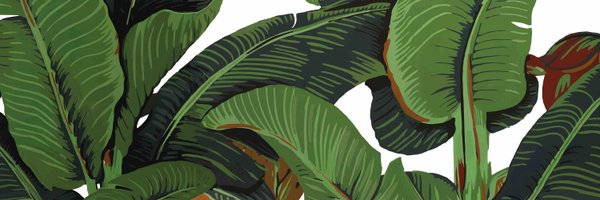 slwheeler81 Profile Banner